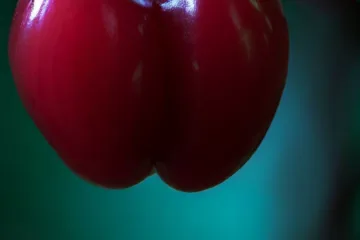 Czereśnia buttnera - królowa czerwonych owoców