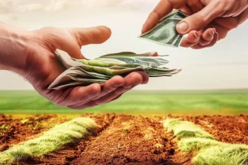 Darowizna ziemi rolnej - przewodnik dotyczący podatku od darowizny gospodarstwa rolnego i działki rolnej