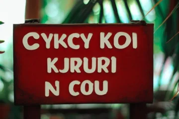 Kokcydioza u kur - objawy