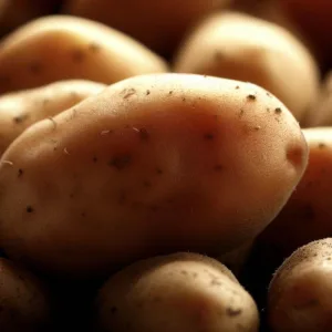 Ziemniaki bardzo wczesne: doskonały start sezonu ogrodniczego