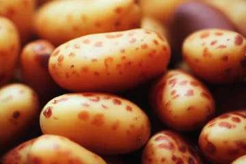 Ziemniaki irga: charakterystyka i opis odmiany