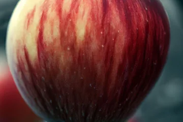Zimowa odmiana jabłoni: odkryj uroki sadzenia i uprawy